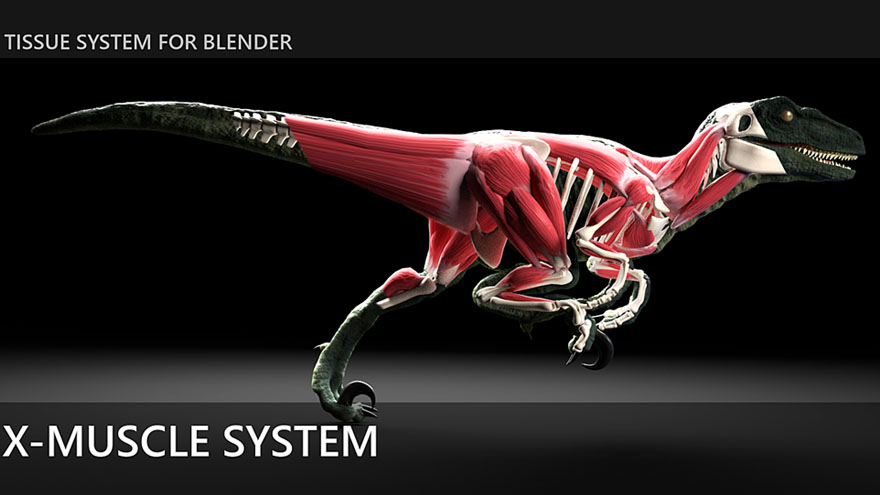 Blender快速创建肌肉系统 X-Muscle System